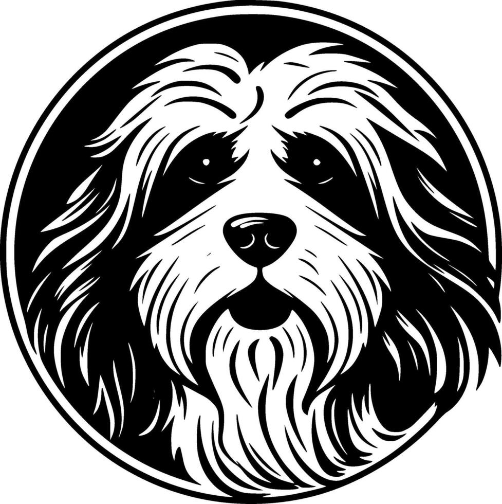 Havanese, Black and White illustration vector