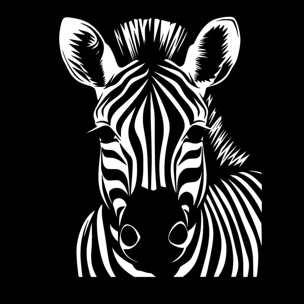Zebra Baby, Black and White illustration vector