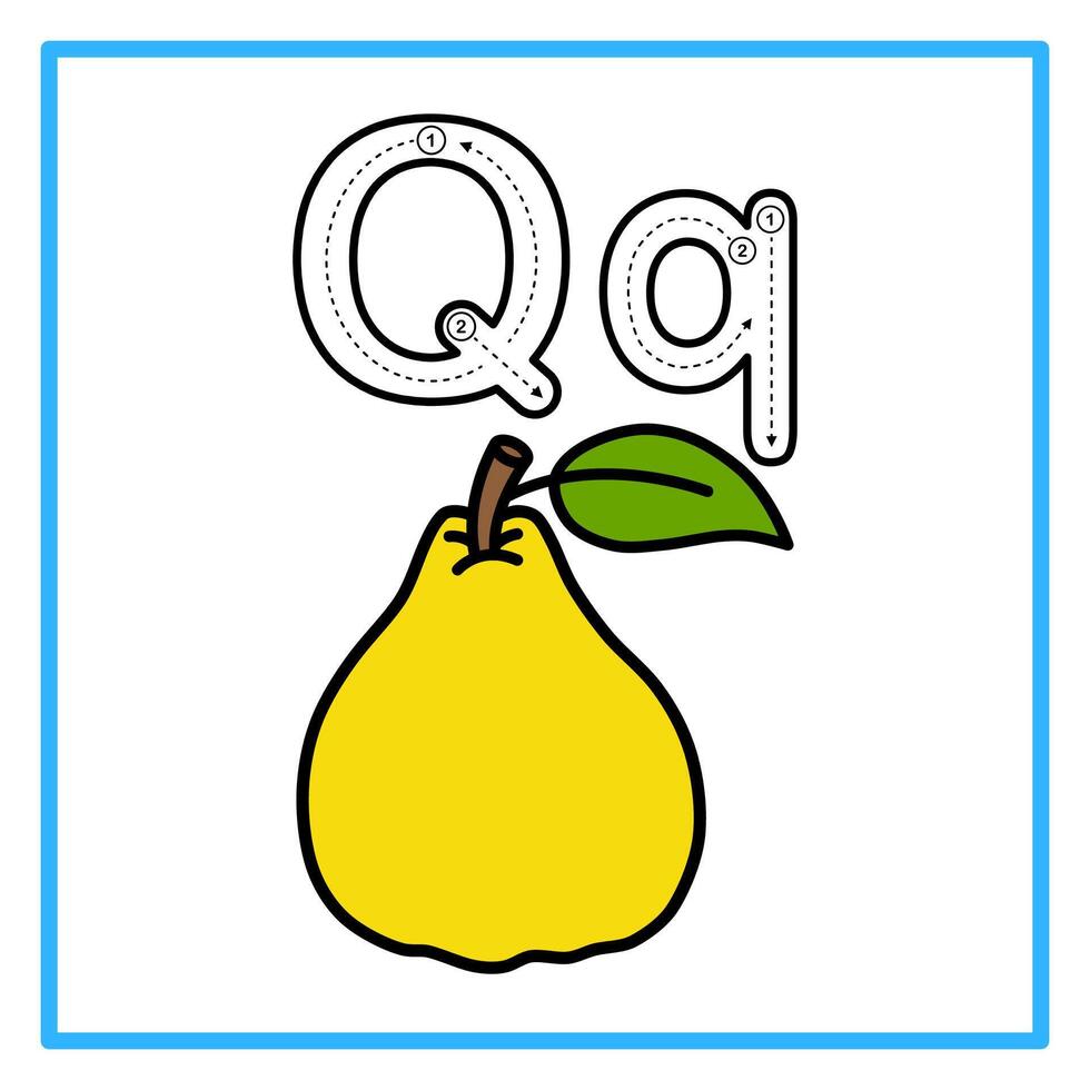 tracing alfabet flat quince illustration vector