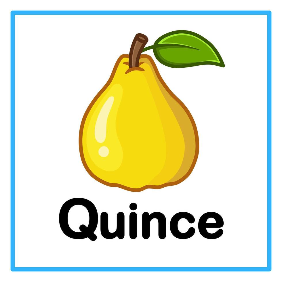 fresh quince alfabet illustration vector