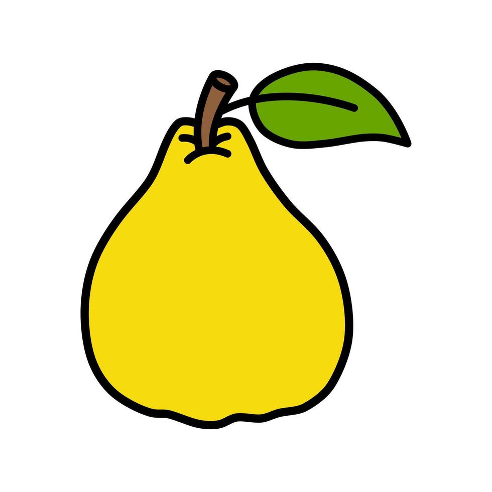 flat quince illustration vector