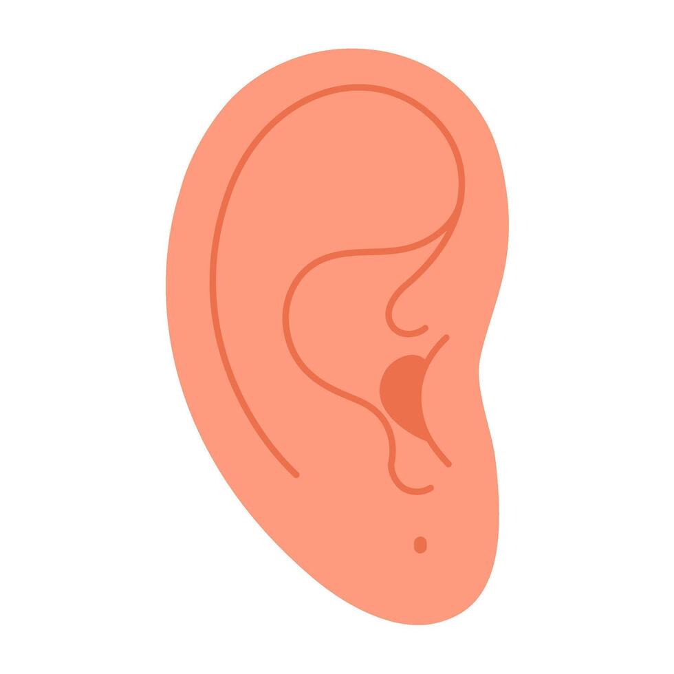 Ear with a piercing hole, pierced earlobe. Hand drawn trendy flat style isolated modern jewelry. Ear without earring illustration vector
