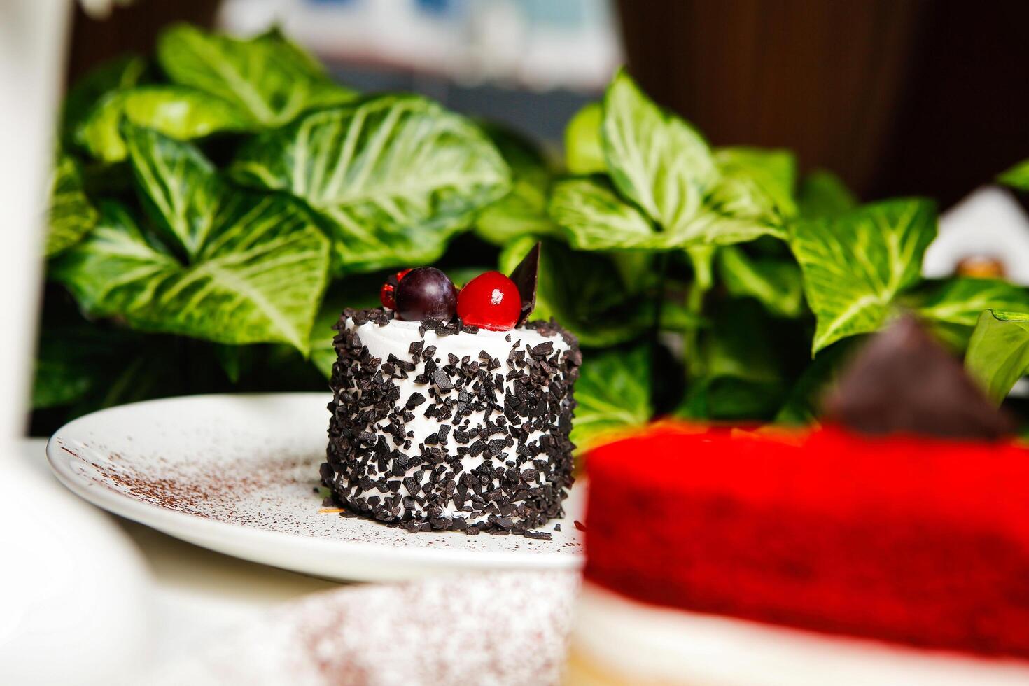 Chocolate Cake With Cherry Topping on White Plate photo