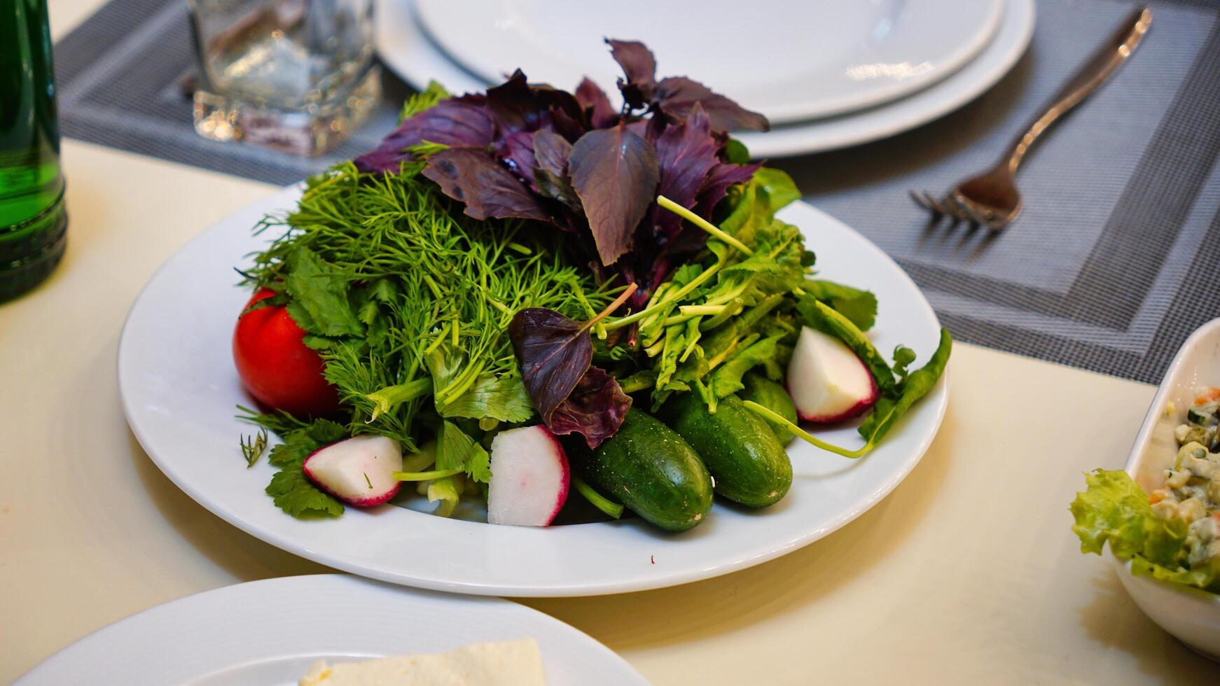 Fresh Salad With Radishes and Cucumbers on White Plate photo