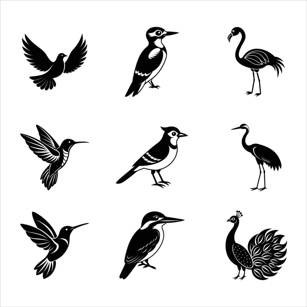 Nine Birds Icon Bundle - High Quality Silhouette Illustrations Set vector