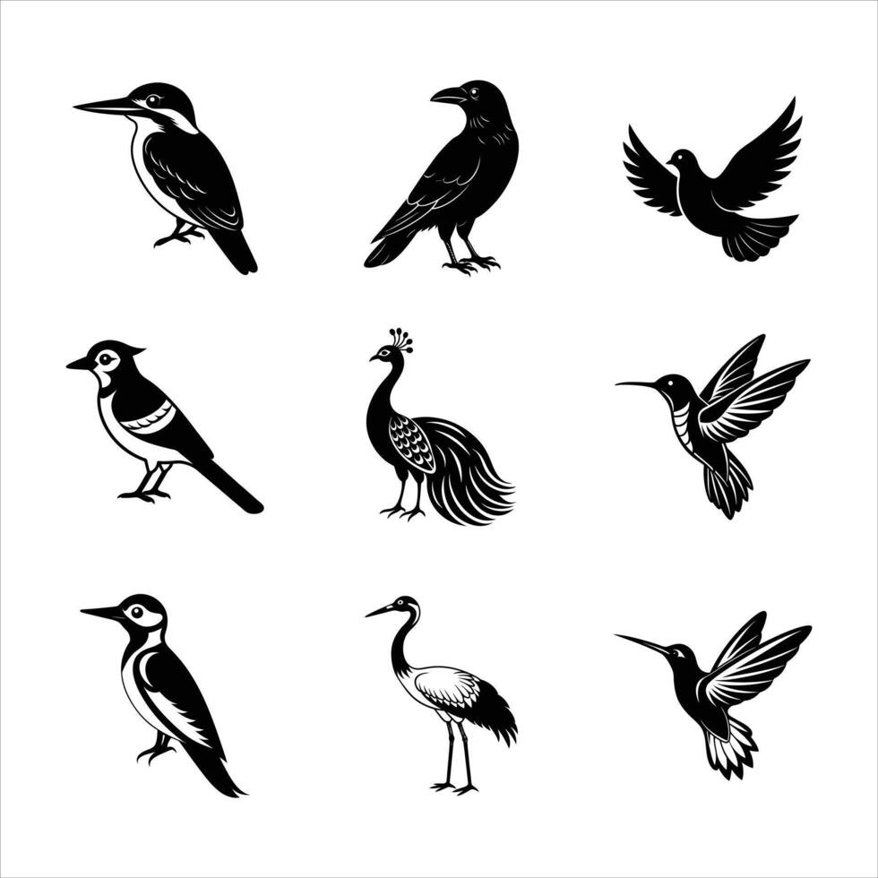 Nine Birds Icon Bundle - High Quality Silhouette Illustrations Set vector