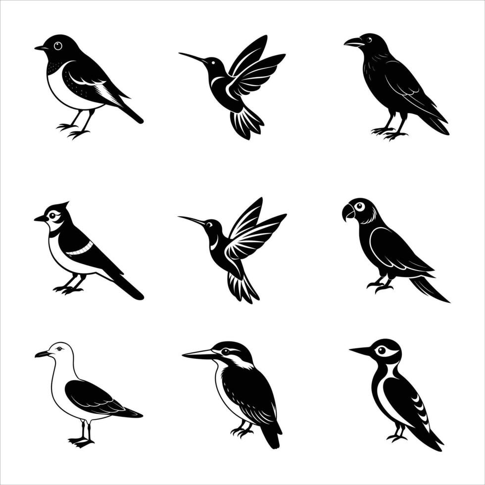 Nine Birds Icon Bundle - High Quality Silhouette Illustrations Set vector