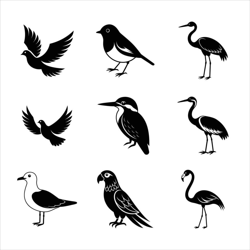 Nine Birds Icon Bundle - High Quality Silhouette Illustrations Set vector