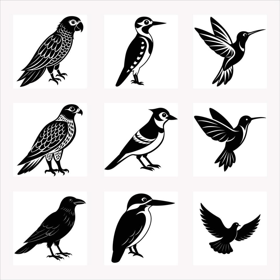 Nine Birds Icon Bundle - High Quality Silhouette Illustrations Set vector