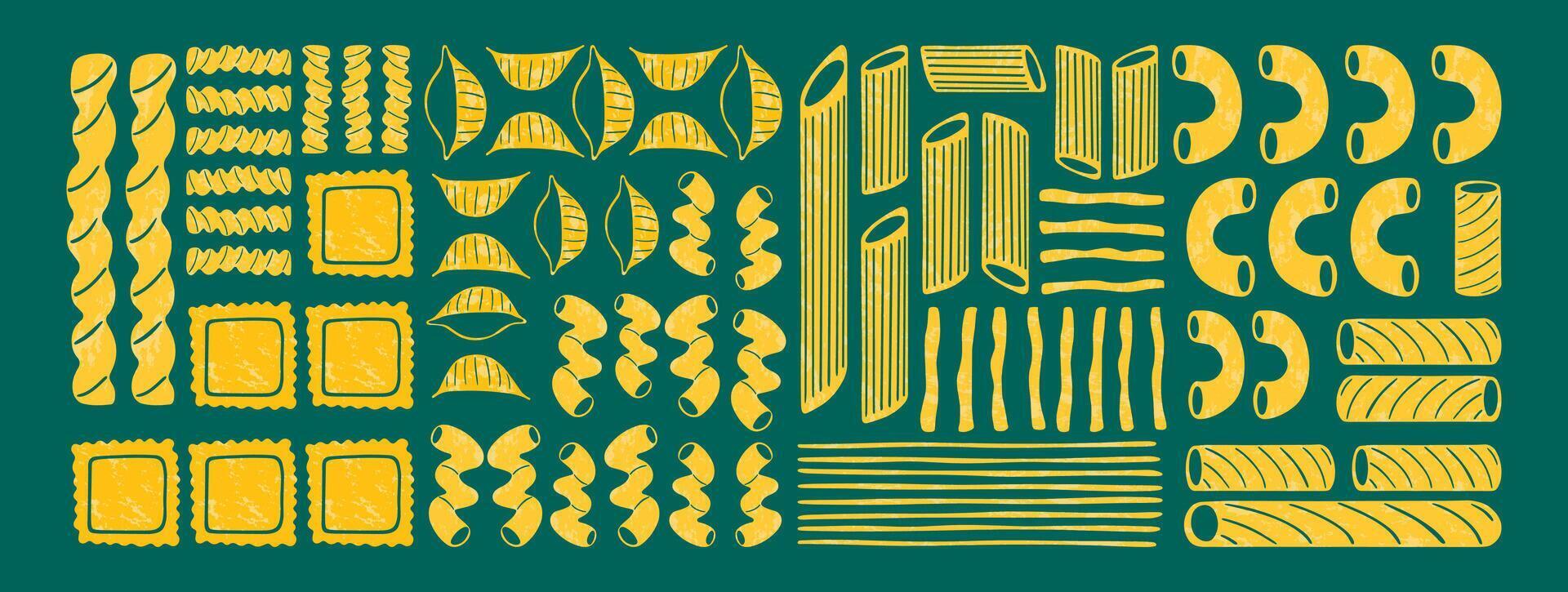 Pasta types horizontal background. Different shapes of Italian pasta. Spaghetti, Farfalle, penne, rigatoni, ravioli, fusilli,conchiglie, elbows, rotelle, orzo, paccheri illustration. vector