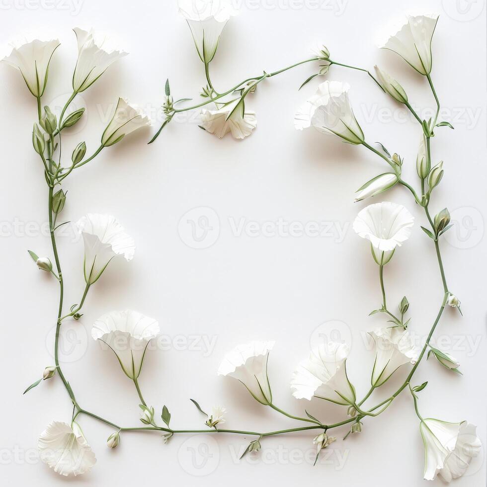 White flowers arranged in a simple frame on a white background photo