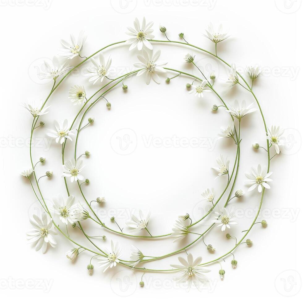 White flowers arranged in a circular frame on a white background photo