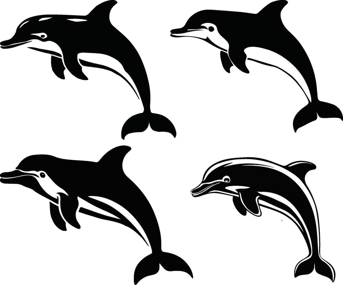 Dolphin silhouette image. vector