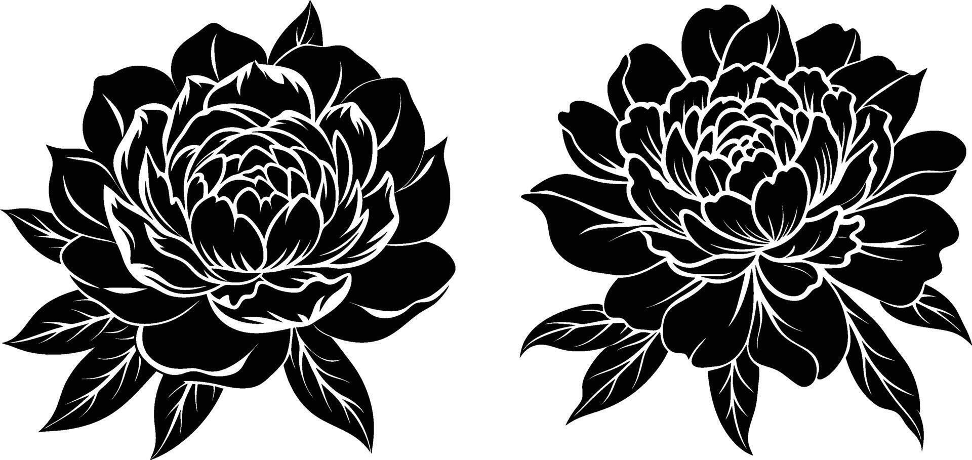 Silhouette image of Peony Floor vector