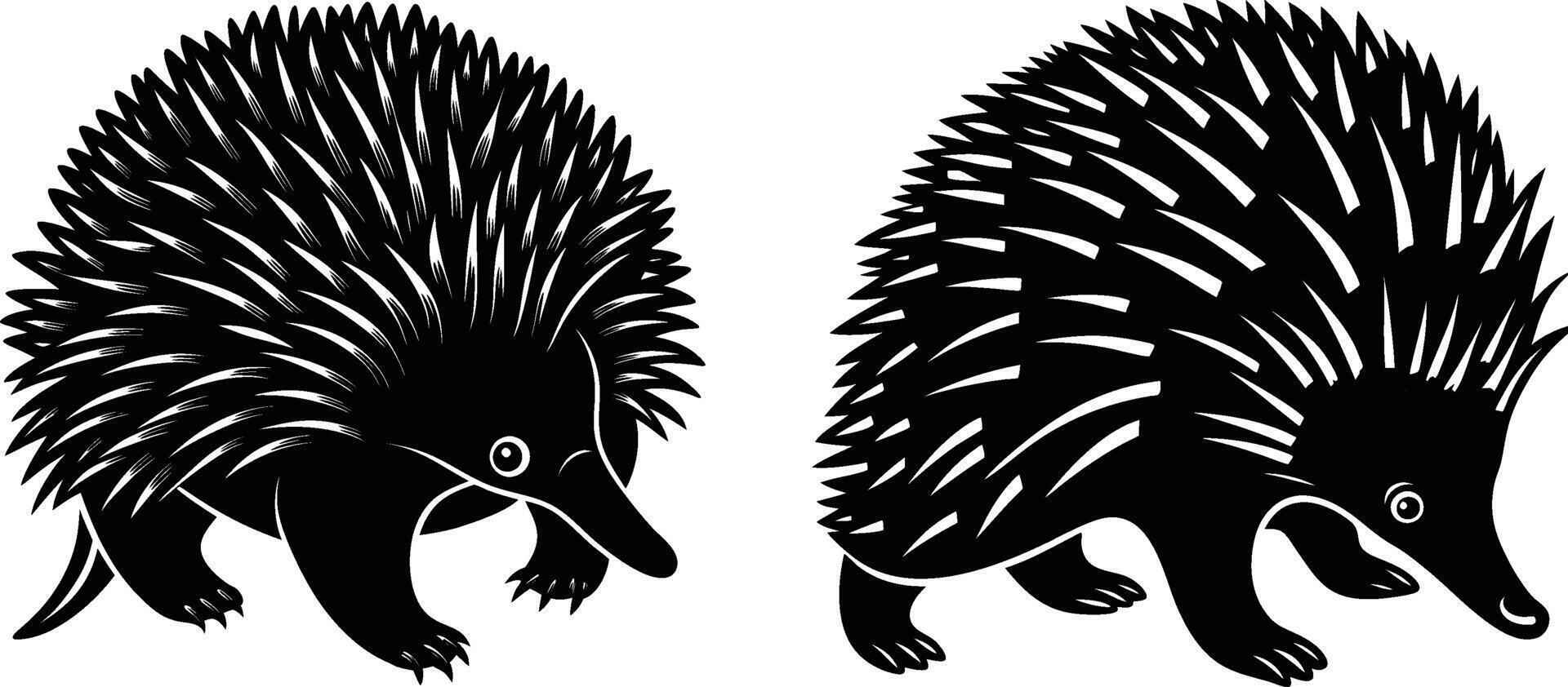 Silhouette image of Echidna Animals vector