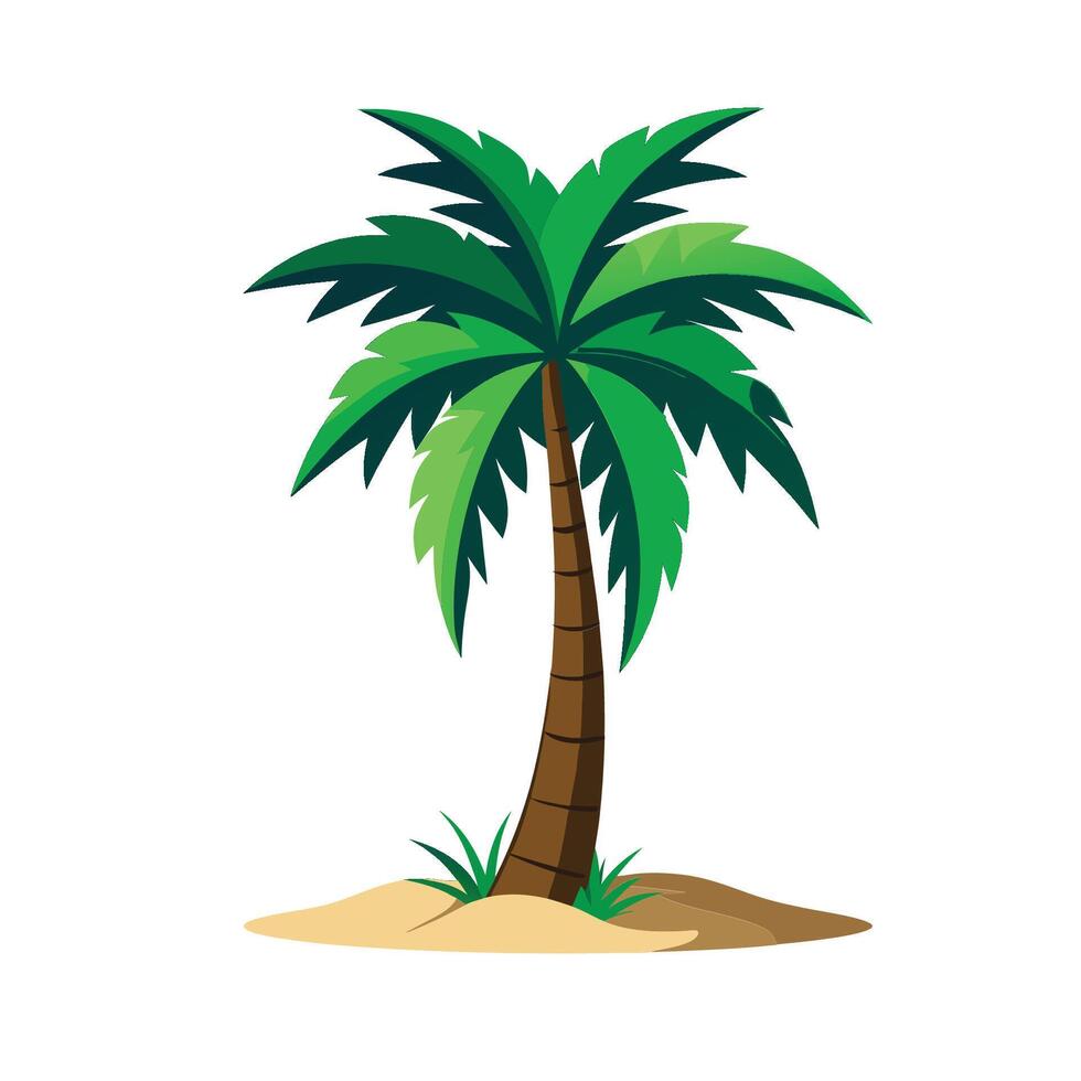palm tree illustration vector