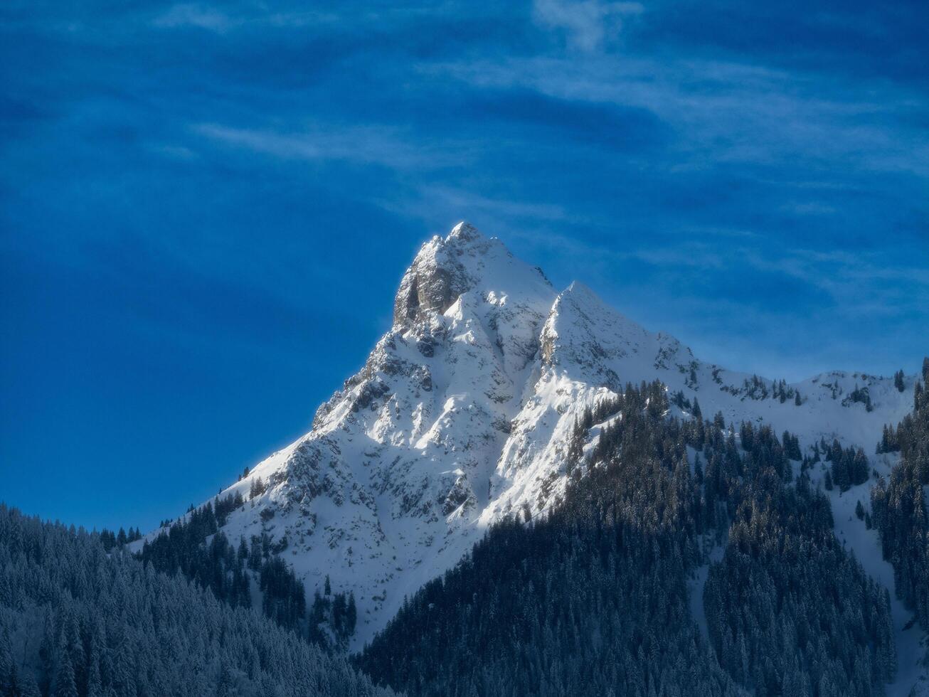 a snowy mountain with a blue sky and snow covered trees photo