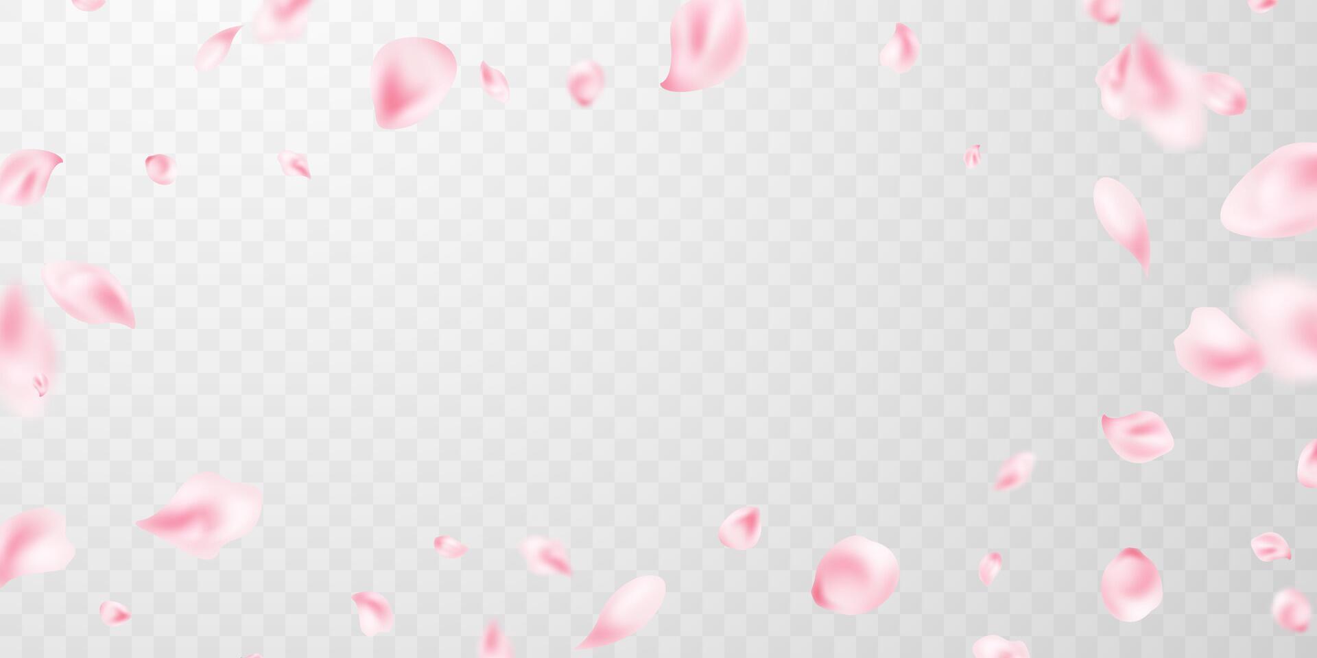 Beautiful flower petals background illustration. vector