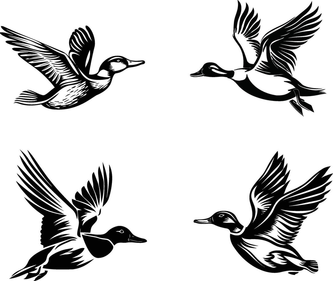 Set of Flying Duck Silhouette Illustrations, Diverse and Dynamic Designs for Wildlife and Nature-themed Projects vector