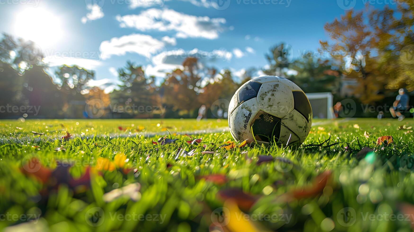 Grass on a soccer field photo