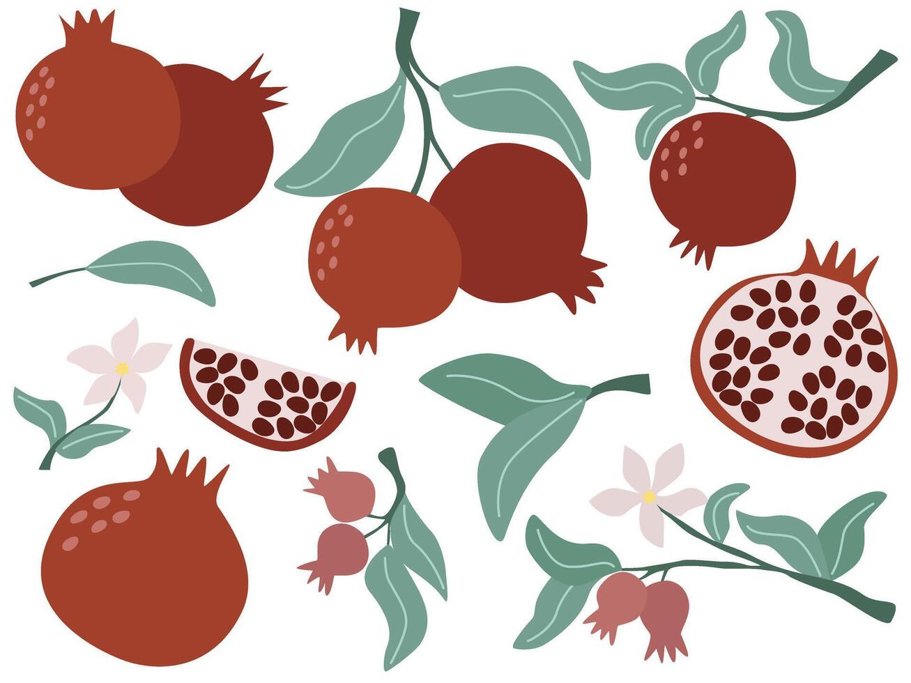 Hand drawn pomegranate fruit set vector