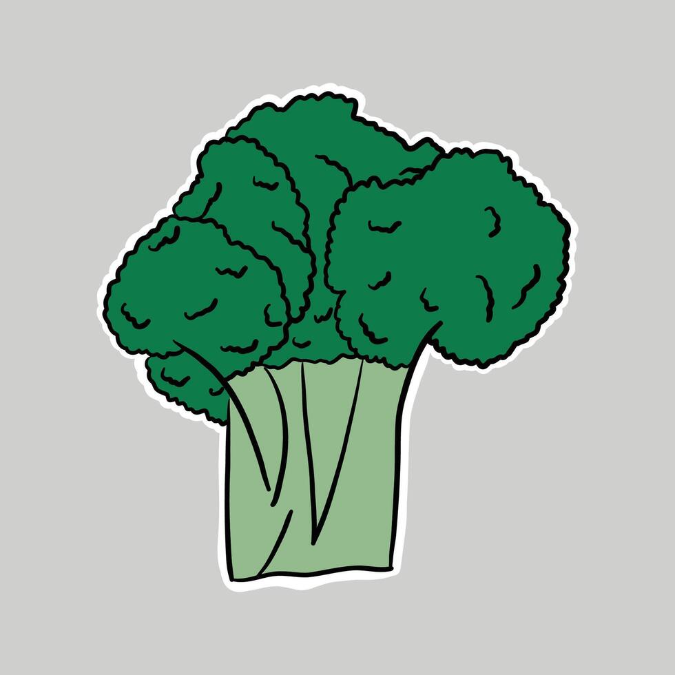 hand drawn doodle broccoli clipart illustration vector