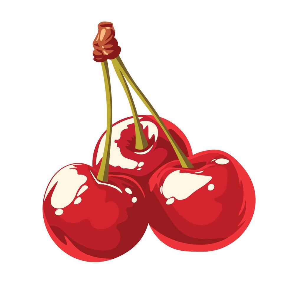 Doodle flat clipart. Sweet red realistic cherry. vector