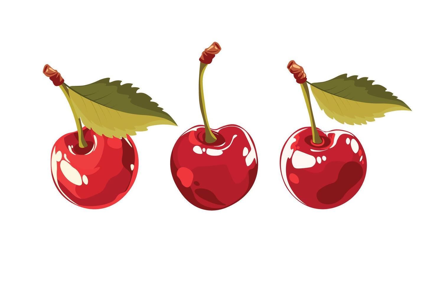 Doodle flat clipart. Sweet red realistic cherry. vector