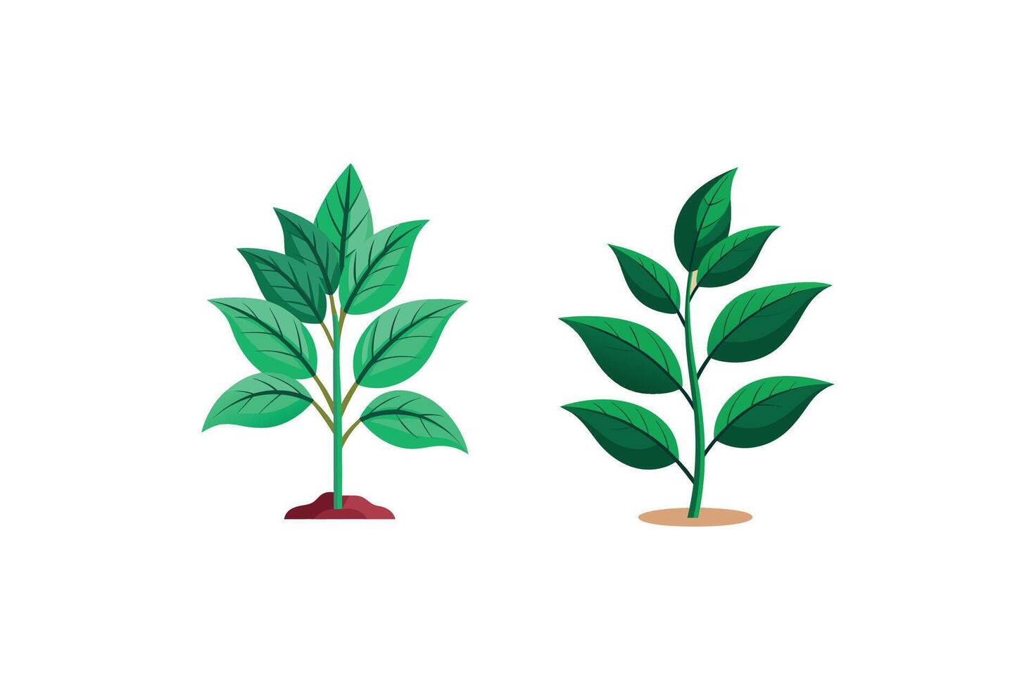 Plant Style New vector
