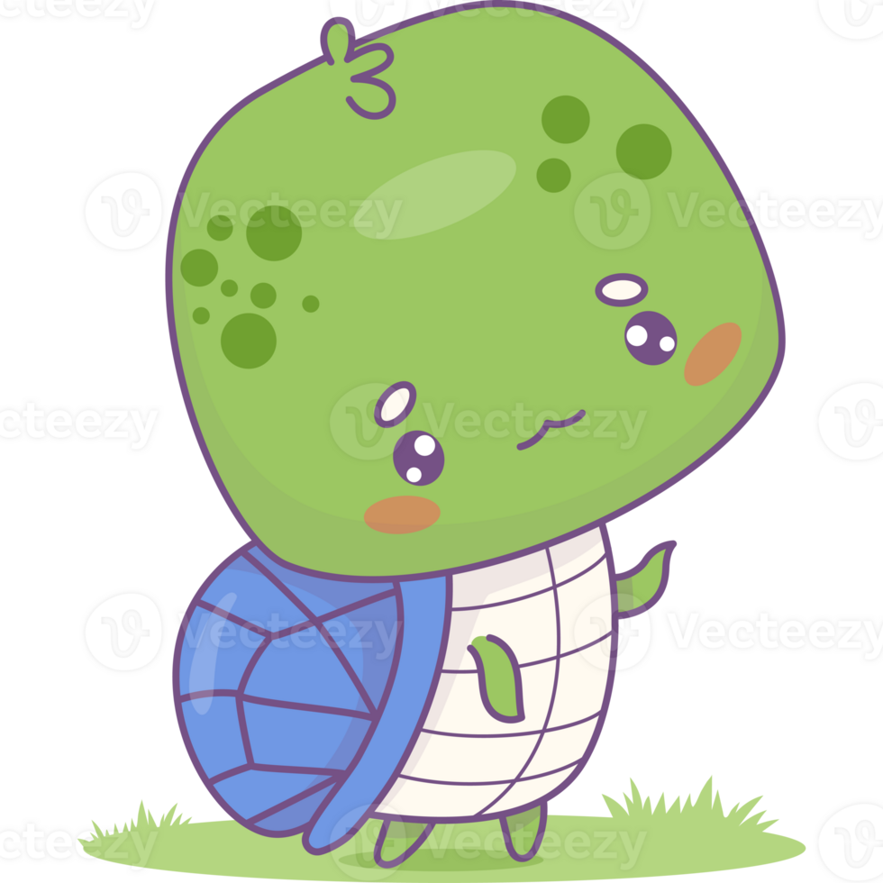 Funny little turtle png