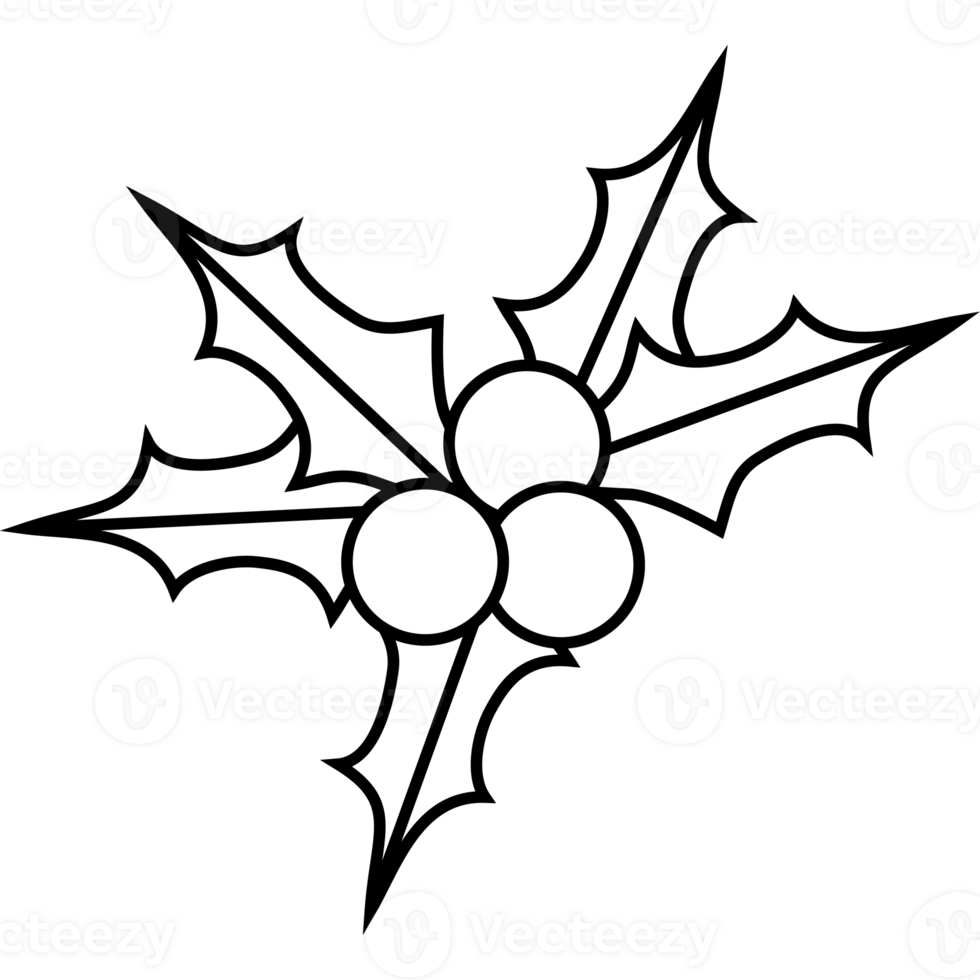 Christmas holly outline drawing png
