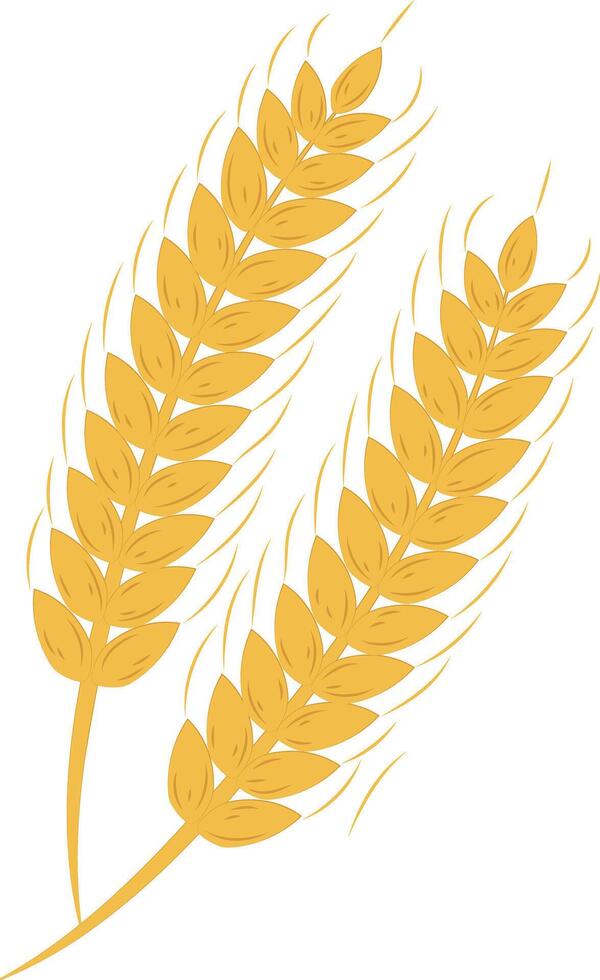 Golden Agriculture Wheat Ears Illustration Graphic Element Art Card vector