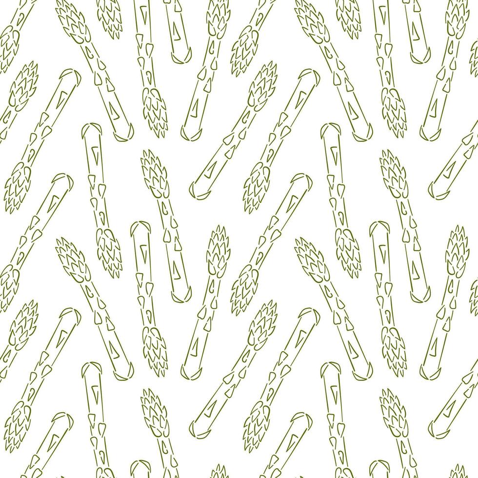 Green sprouts of asparagus seamless pattern in line art style. Template for product packaging and design menu and restaurant. Vegetable. illustration on a white background. vector