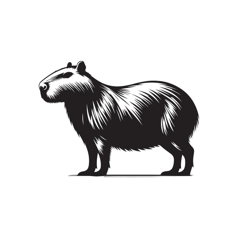 Capybara Chronicles Exploring the Life of the World's Largest Rodent vector