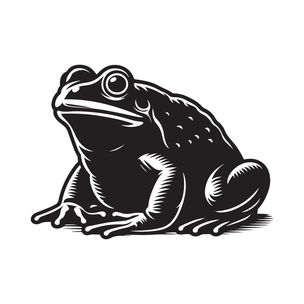 Exploring the Fascinating World of the Bullfrog Characteristics, Habitat, and Behavior vector