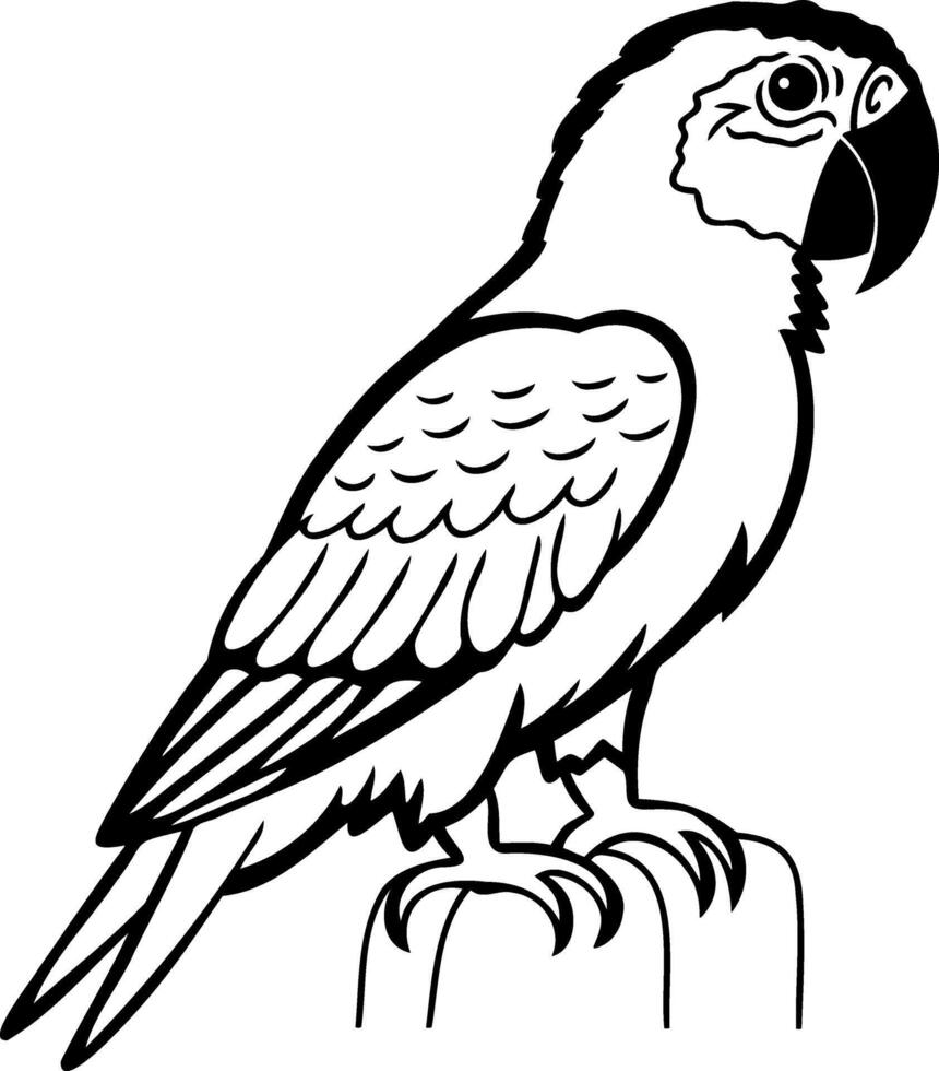 Coloring page book Animal parrot icon vector