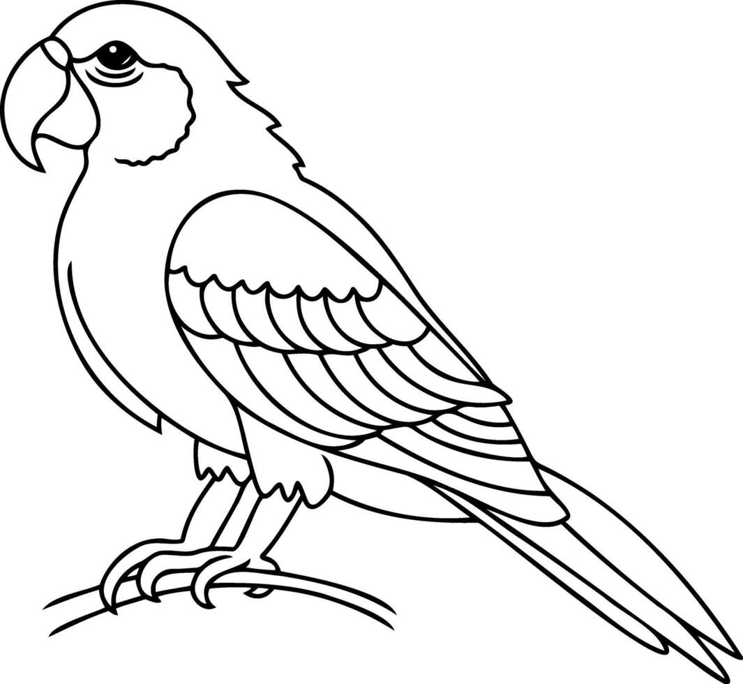 Coloring page book Animal parrot icon vector