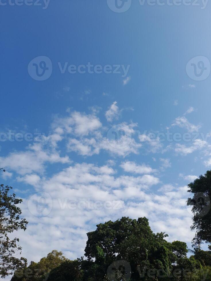 Beautiful white clouds on deep blue sky background. Large bright soft fluffy clouds are cover the entire blue sky. photo