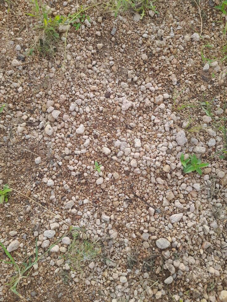 A spread of small white pumice stones. These stones are used as a growing medium for ornamental plants, especially cacti and bonsai. photo
