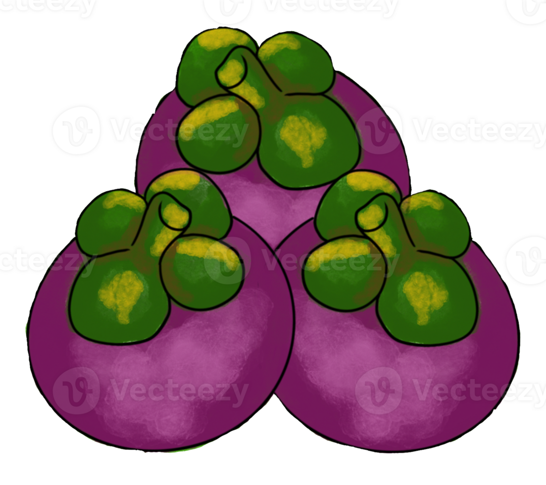 The mangosteen drawing image png