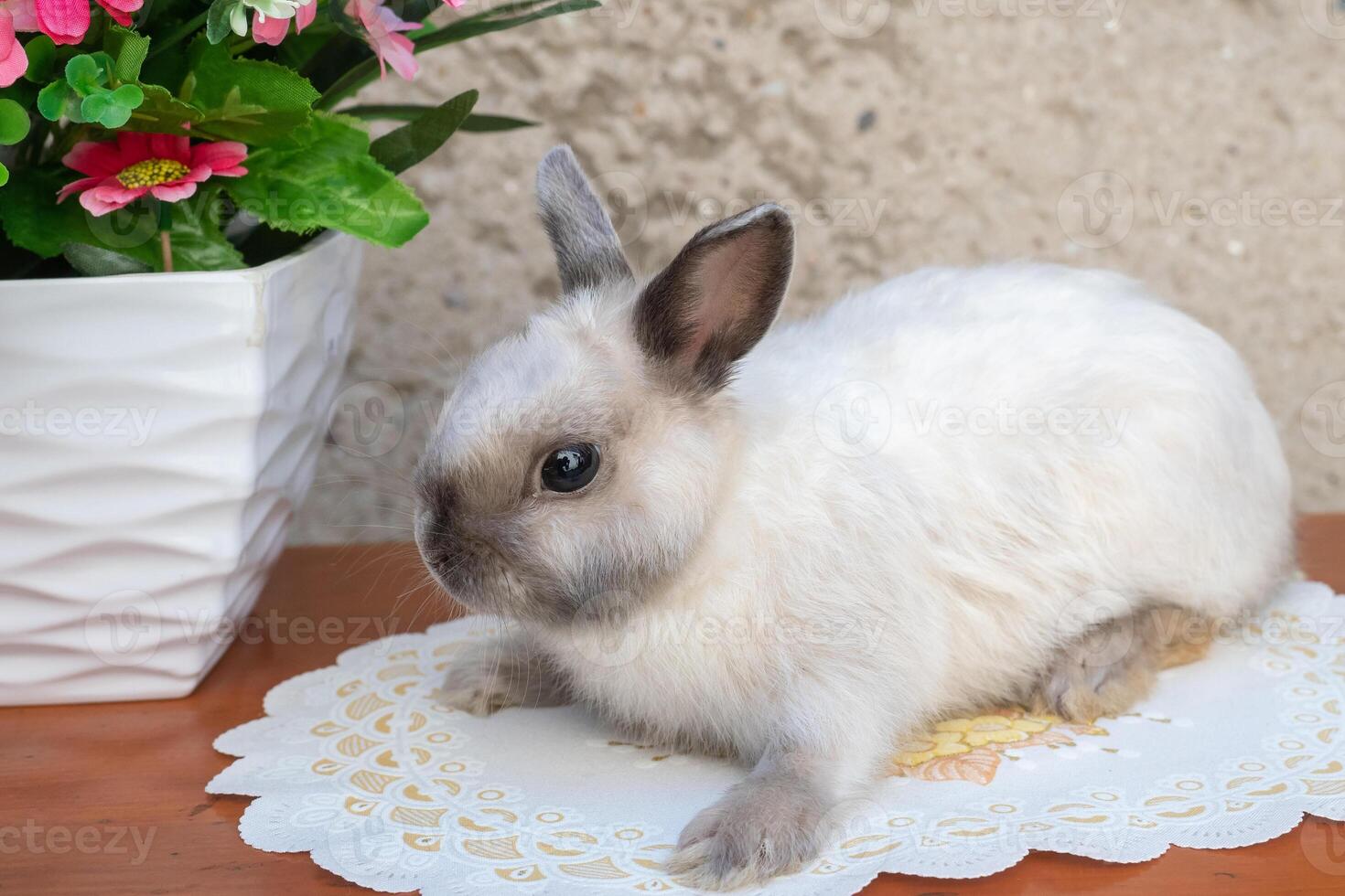 Easter bunny near spring wreath. Little dwarf rabbit sitting near flowers. photo