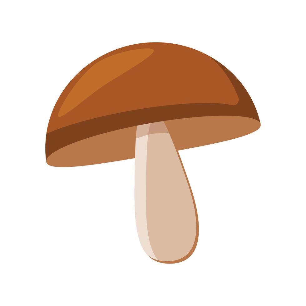 A forest mushroom. A white mushroom with a brown cap. Flat illustration. vector