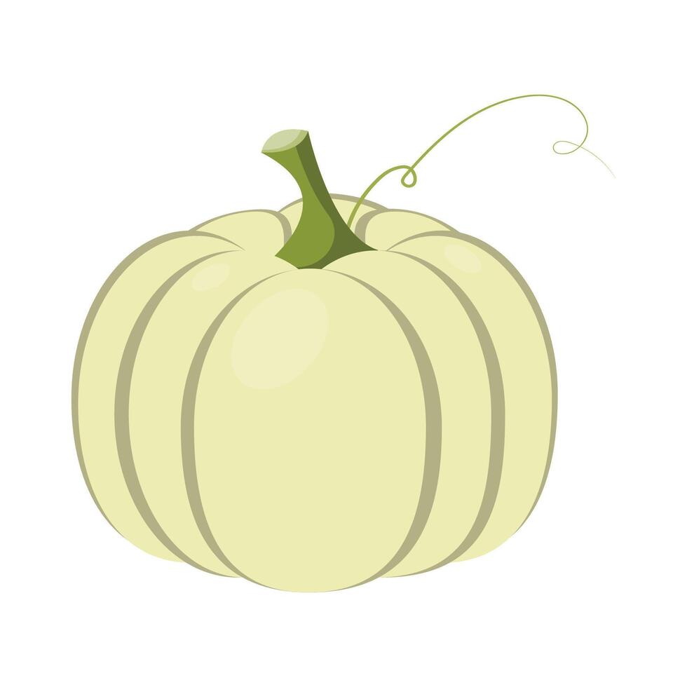 A green flat illustration of a pumpkin with green swirls. Autumn harvest. Autumn harvest. Pumpkin for Halloween. Pumpkin for Thanksgiving. vector