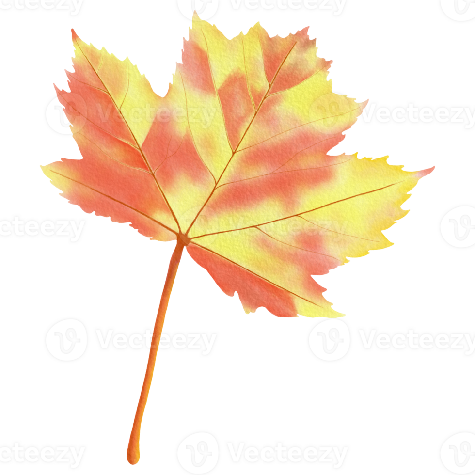 Cute Watercolor Fall Clipart - Download Cozy Autumn Illustration png