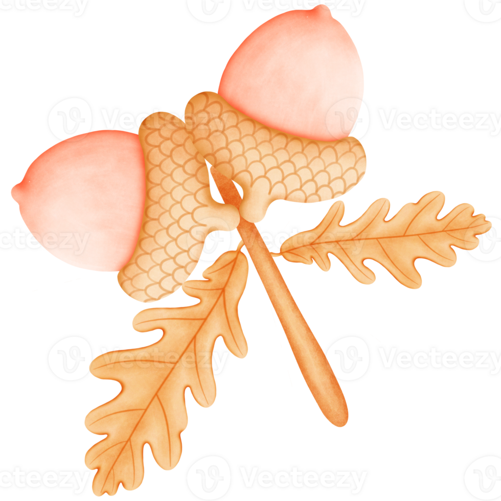 Cute Watercolor Fall Clipart - Download Cozy Autumn Illustration png