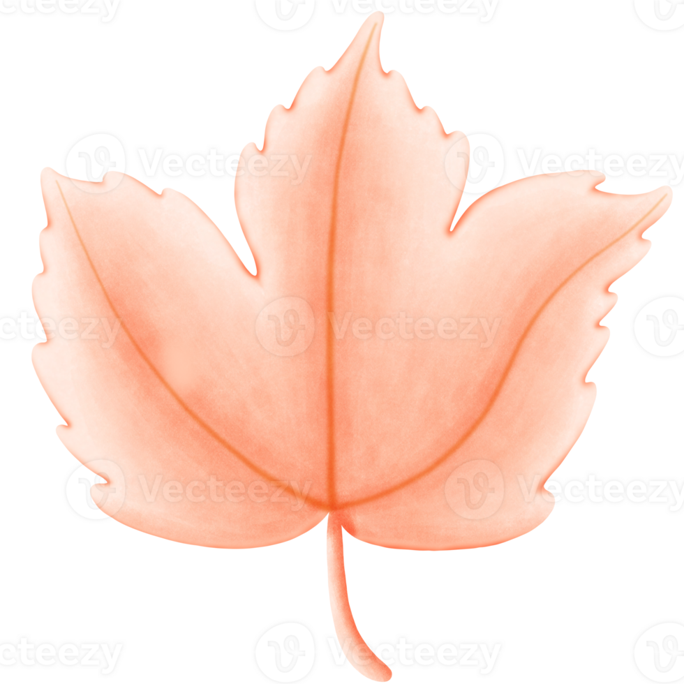Cute Watercolor Fall Clipart - Download Cozy Autumn Illustration png