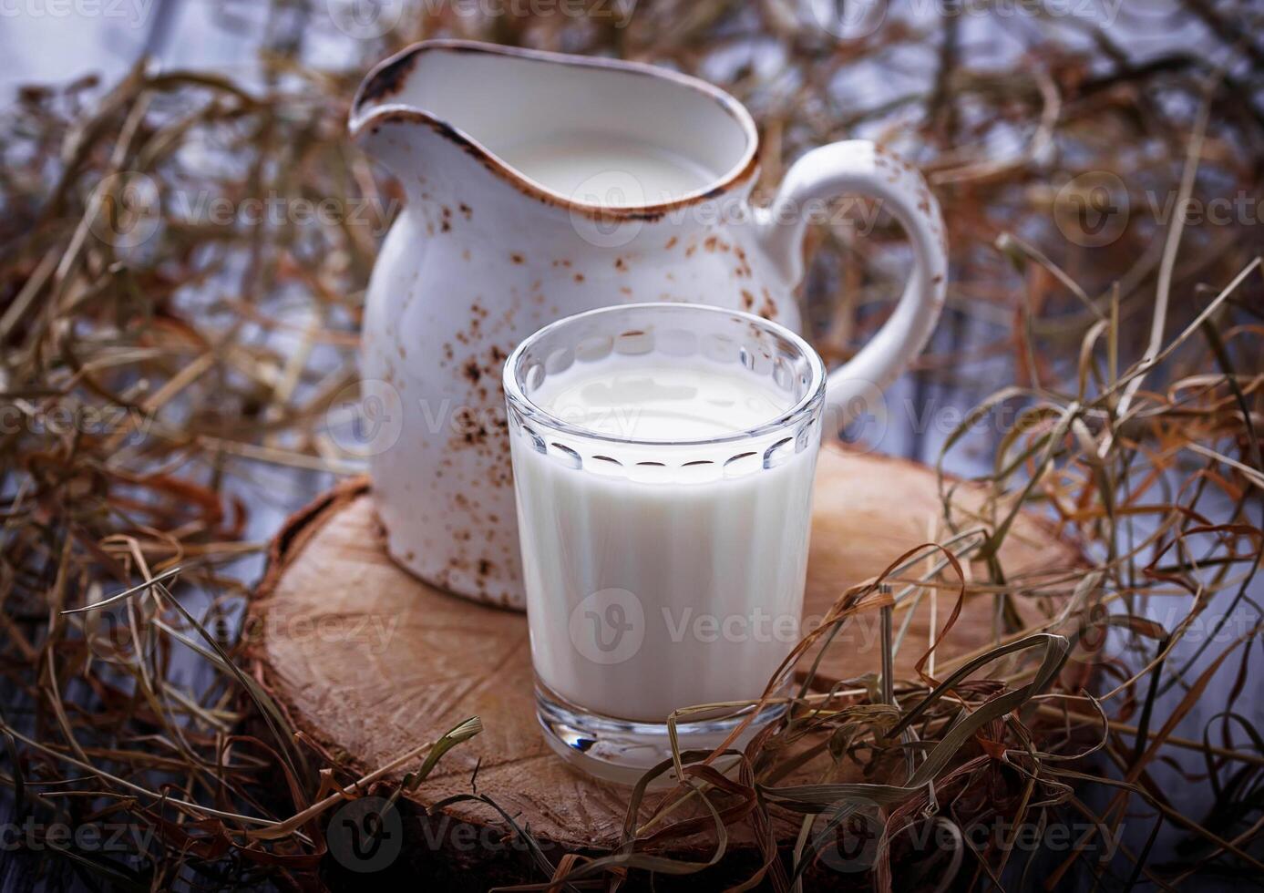Glass of milk and jug. photo