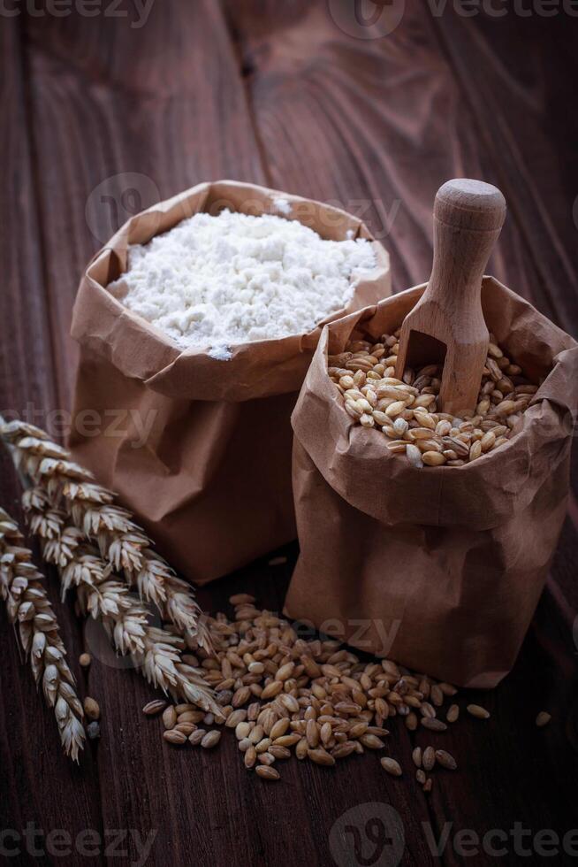 Wheat grain and flour in paper bags photo