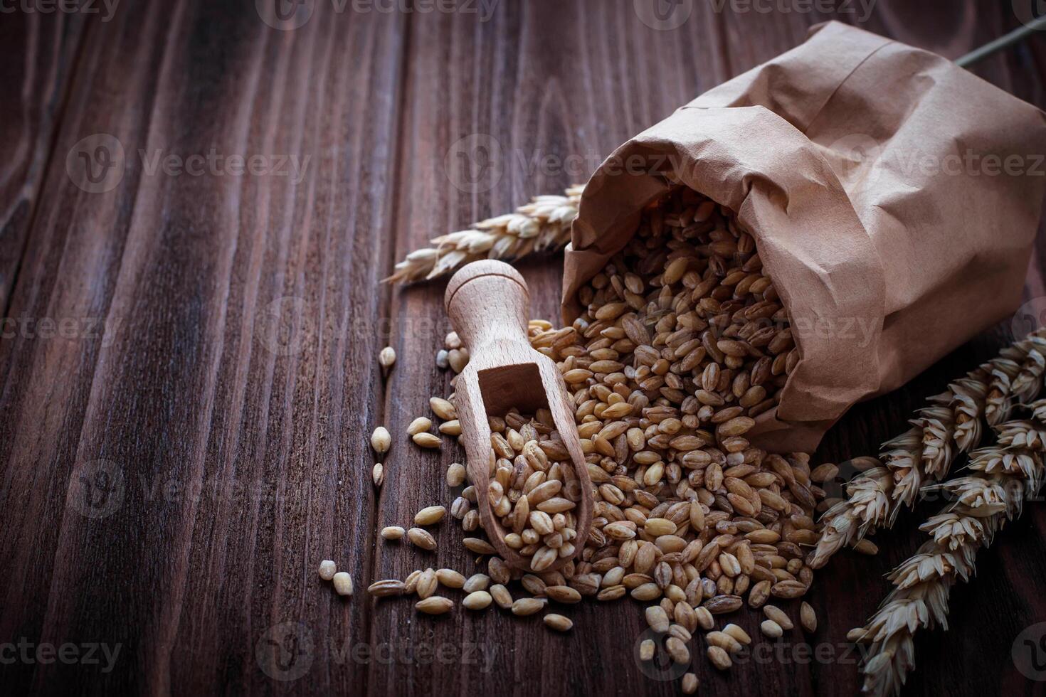 Wheat grain in paper bags photo