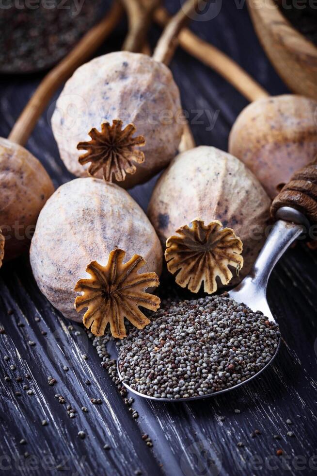 Poppy seeds and heads on wooden background photo